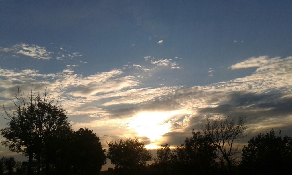 2015-11-24 09.22.00-1